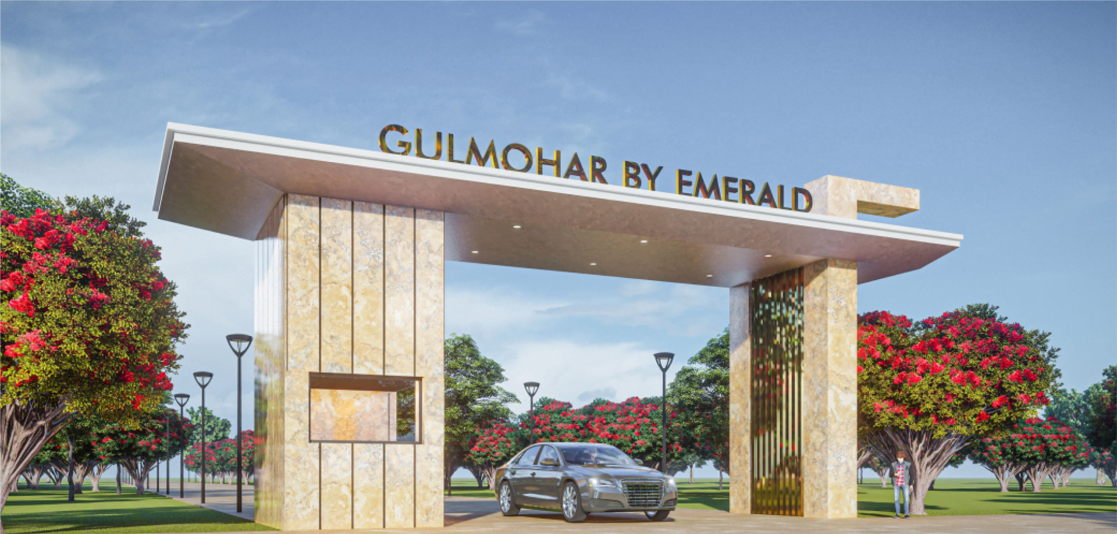 Emerald Gulmohar